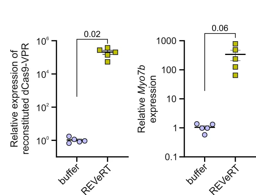 Open access visualization of Scatter Plot, Error Bars, qRT-PCR, Retinas, dCas9-VPR