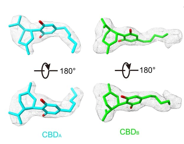 Open access visualization of Chemical Structure, Density Maps, CBD Molecules