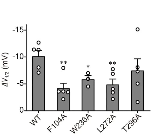 Open access visualization of Bar Plot, Error Bars, Activation Voltage Shift, KCNQ2, CBD
