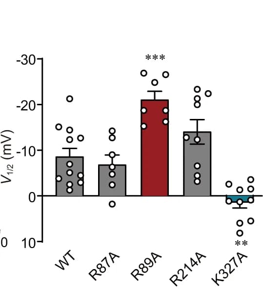 Open access visualization of Bar Plot, Error Bars, Scatter Plot, V 1/2 values, WT KCNQ2