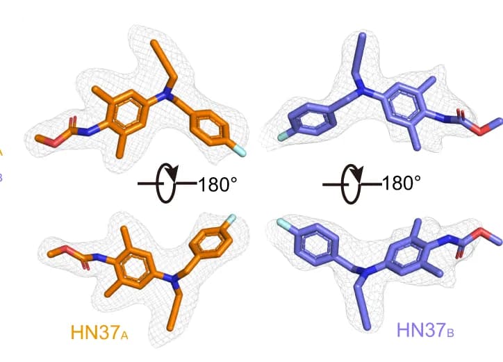 Open access visualization of Chemical Structure, Density Maps, HN37 Molecules, Orientation