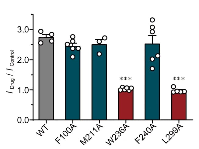 Open access visualization of Bar Plot, Error Bars, Scatter Plot, Activation Effects, HN37