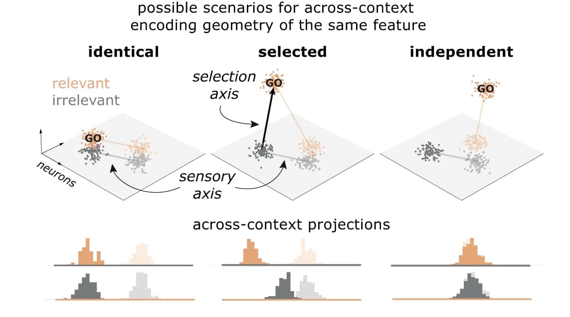 Open access visualization of Scatter Plot, Histogram, Feature encoding, Context, Coding axes