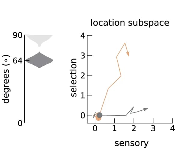 Open access visualization of Line Plot, Violin Plot, Sensory axis, Relevant axis, Orthogonalization