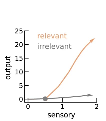 Open access visualization of Line Plot, Network, Stimuli, Axis