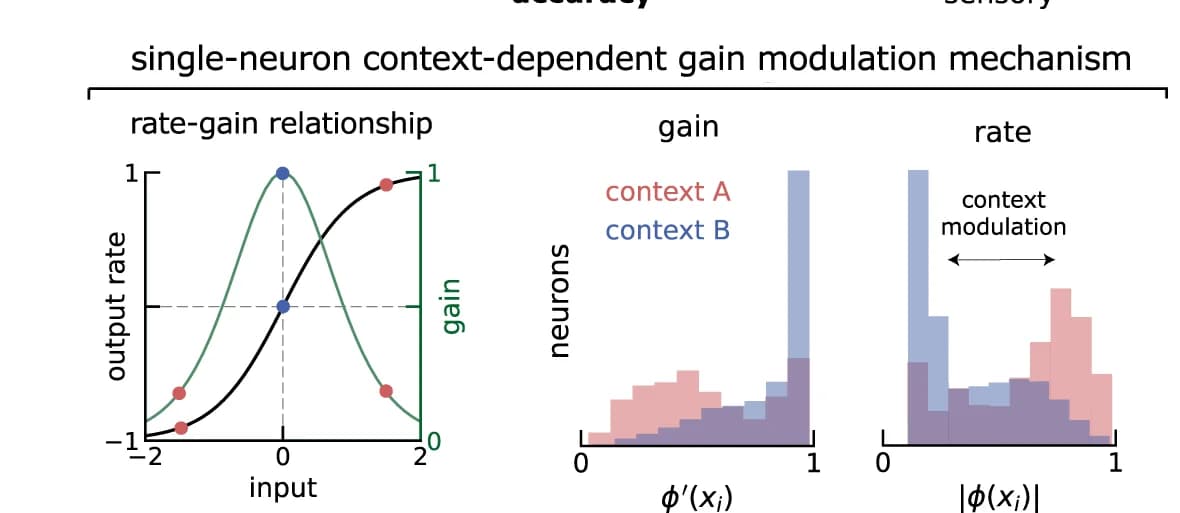 Open access visualization of Line Plot, Histogram, Neurons, Population, Gain levels