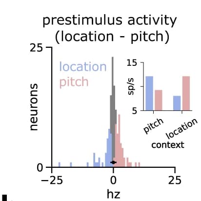 Open access visualization of Histogram, Bar Plot, Error Bars, Neurons, Firing Rate
