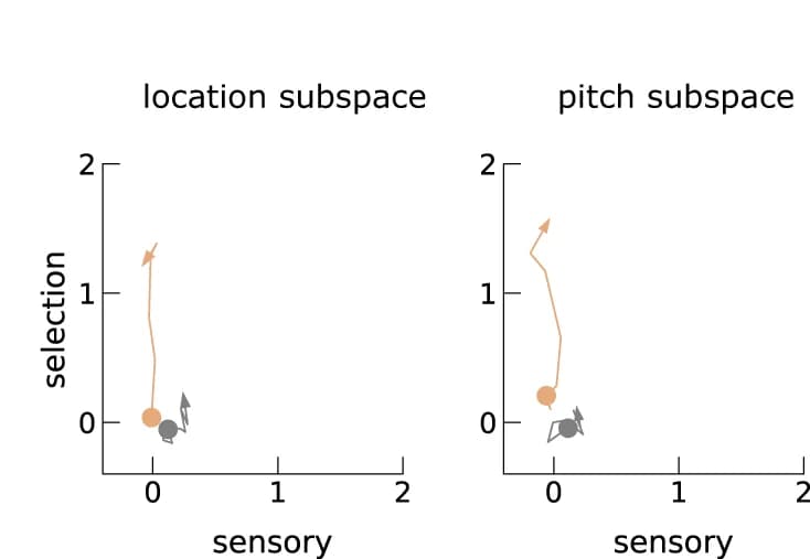 Open access visualization of Line Plot, Sensory-selection subspace, Stimulus onset, Activity visualization