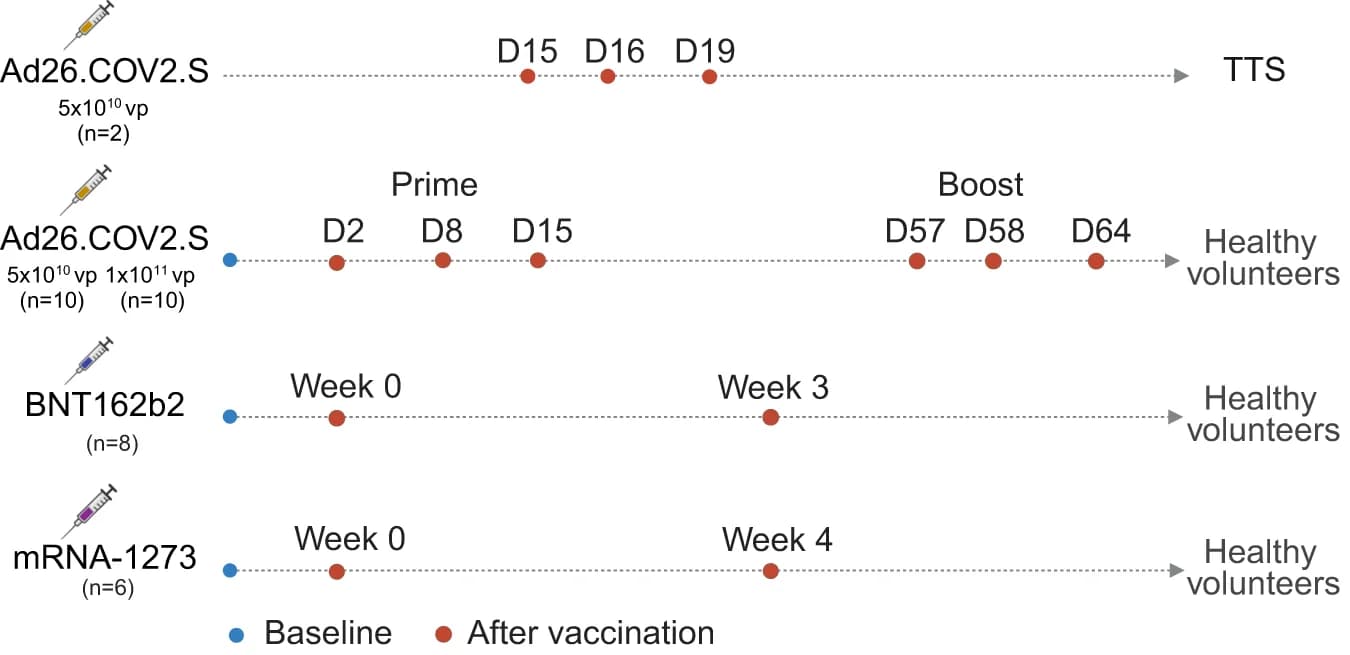 Open access visualization of Line Plot, Line Step, Peripheral Blood, Healthy Individuals, Vaccination