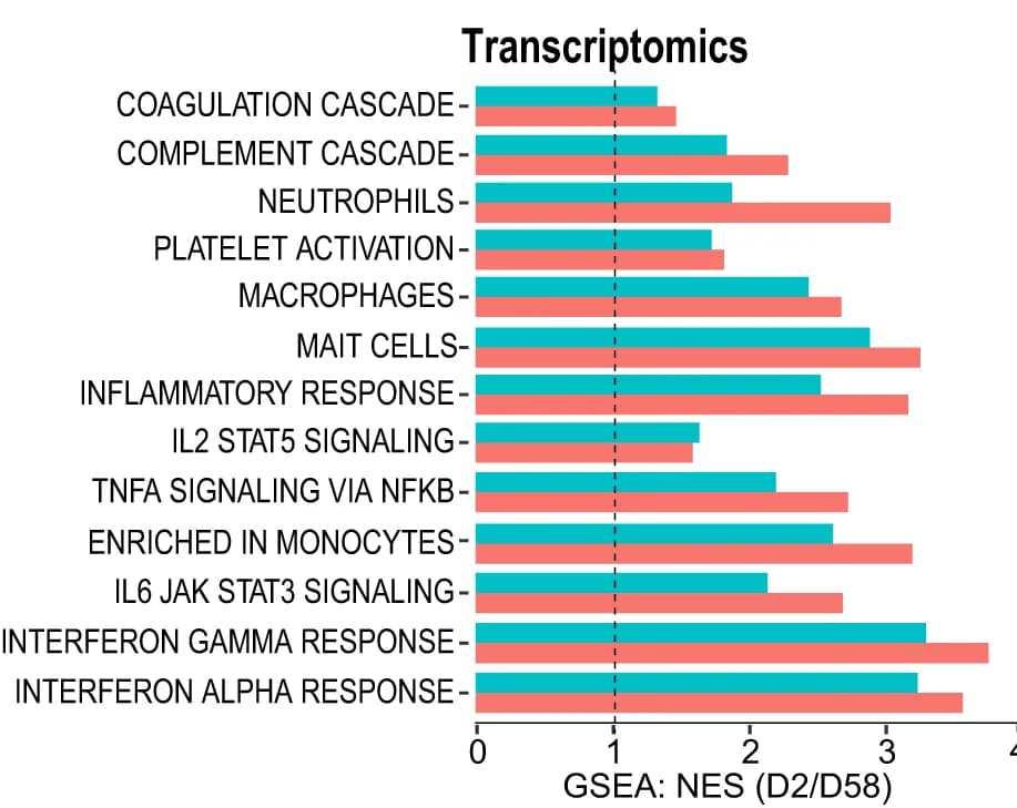 Open access visualization of Bar Plot, Clustered, GSEA, Normalized Enrichment Score, Innate Immune Pathways