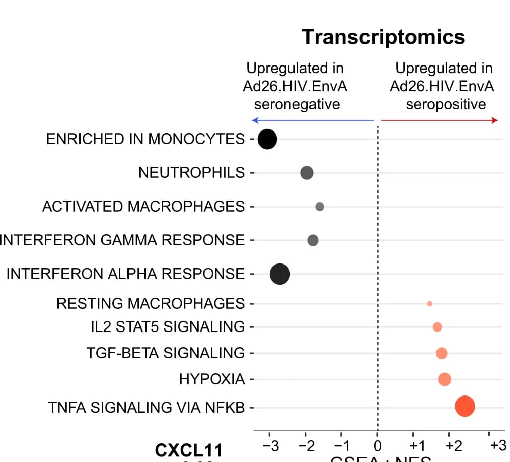 Open access visualization of Scatter Plot, Innate Immune Pathways, Peripheral Blood, GSEA, Pathway Enrichment Scores