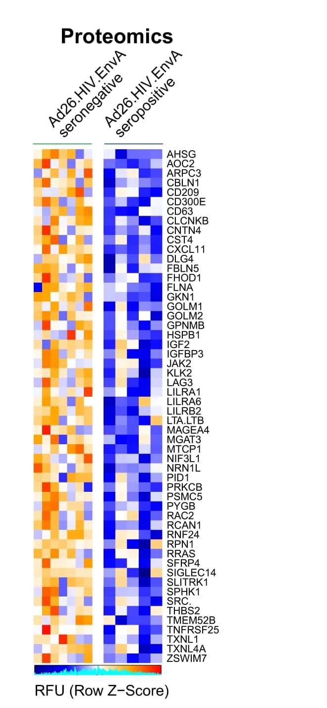 Open access visualization of Heatmap, Serum Levels, Innate Proinflammatory Markers, Proteomics, Upregulated Proteins