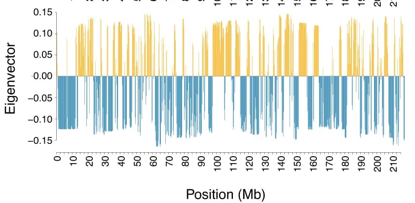 Open access visualization of Bar Plot, Principal Component, Chromosome Compartment, Singular Value Decomposition, Correlation Matrix