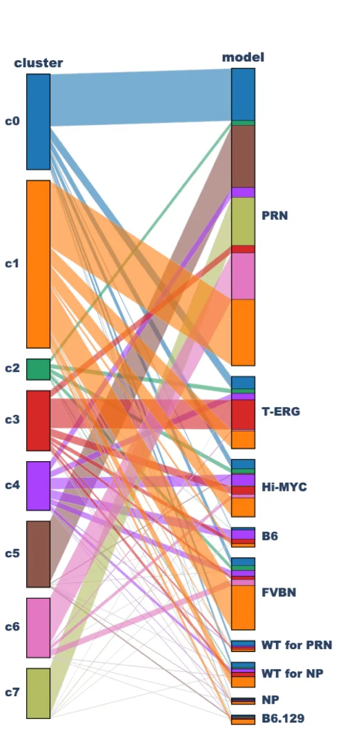 Open access visualization of Sankey, Parallel Categories Plot, Mesenchymal Cell Clusters, Mouse Models