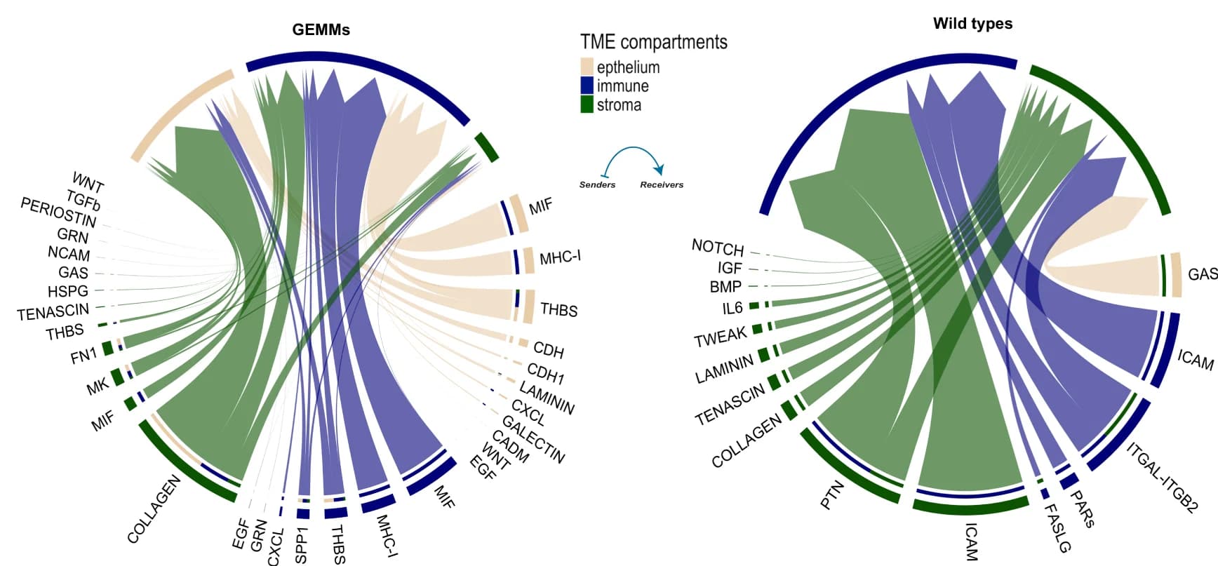 Open access visualization of Sankey, Chord, Chord Diagrams, Signaling Networks, Stroma