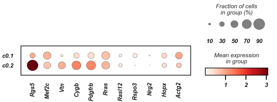 Open access visualization of Bubble Plot, Heatmap, Dot Plot, Gene Expression, Myofibroblasts