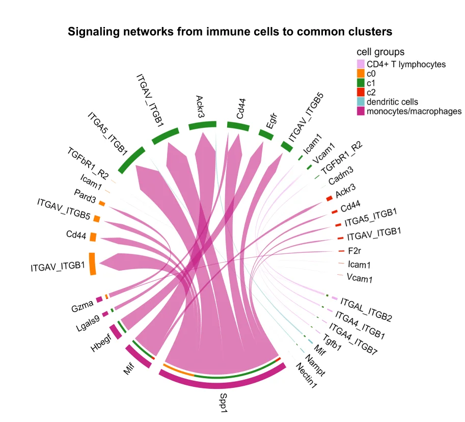 Open access visualization of Pathway, Chord, Chord Diagram, Ligand-Receptor Interactions, Immune Cells