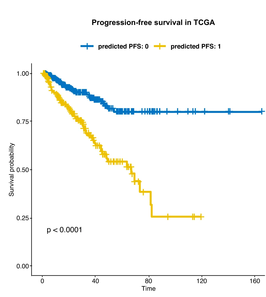 Open access visualization of Survival Curve, Line Step, Kaplan-Meier Survival Plot, Progression-Free Survival, Metastasis
