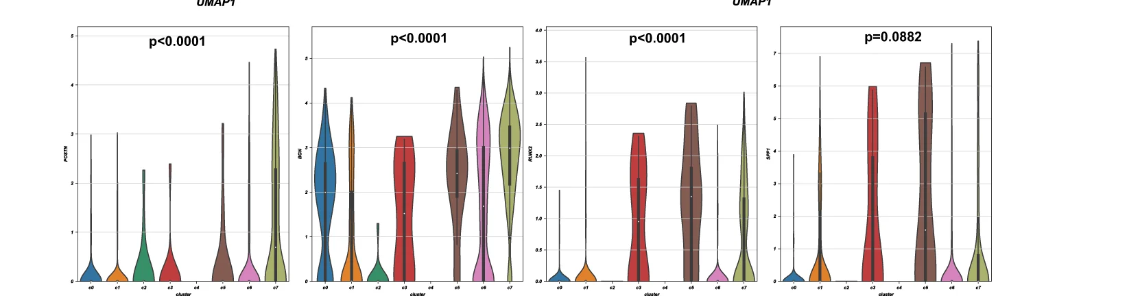 Open access visualization of Violin Plot, Violin Plots, POSTN, RUNX2, SPP1