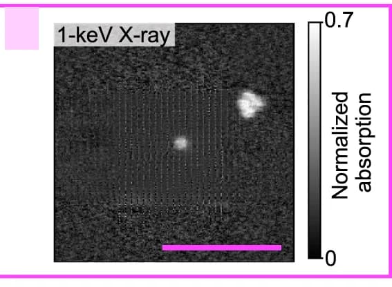 Open access visualization of Microscopy, Scanning Electron Microscopy, Ptychography, Gold Nanoparticles, Silicon Nitride Film