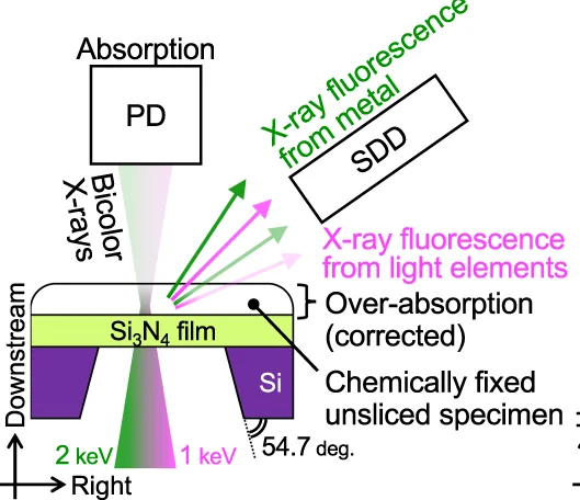 Open access visualization of Illustration, Workflow, X-ray Nanoprobe, Specimens, Silicon Nitride