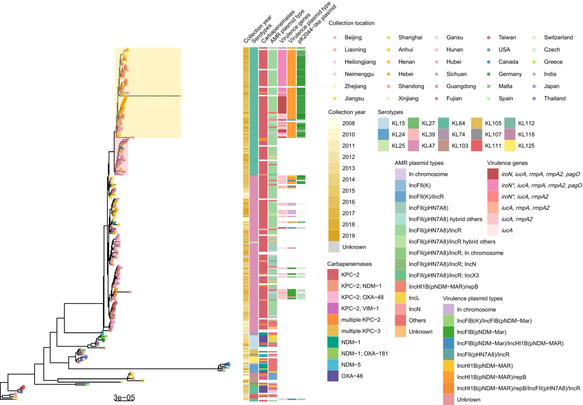 Open access visualization of Network, Bar Plot, Heatmap, Phylogenetic Tree, Collection Date