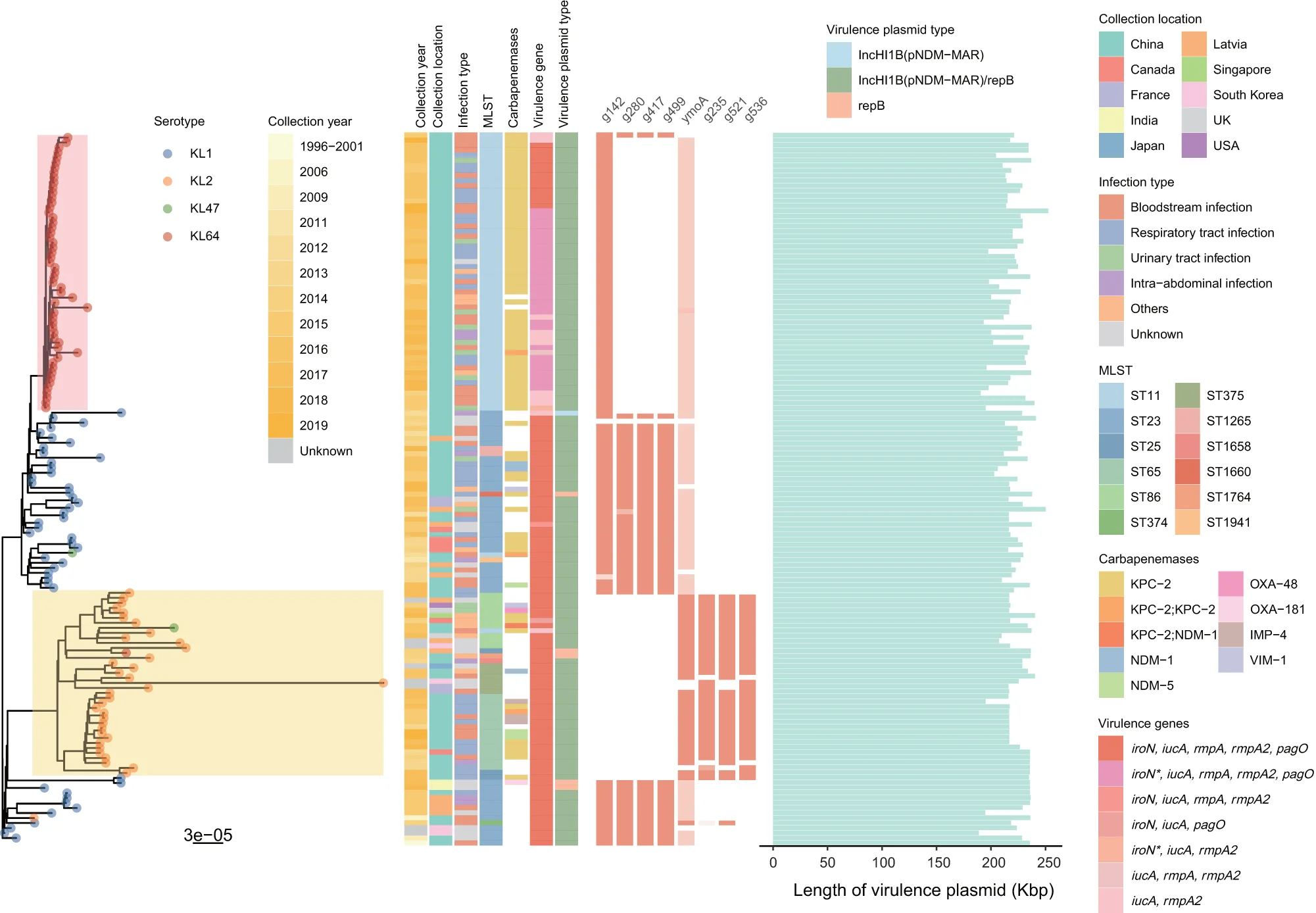 Open access visualization of Bar Plot, Network, Heatmap, Phylogenetic Tree, Serotype