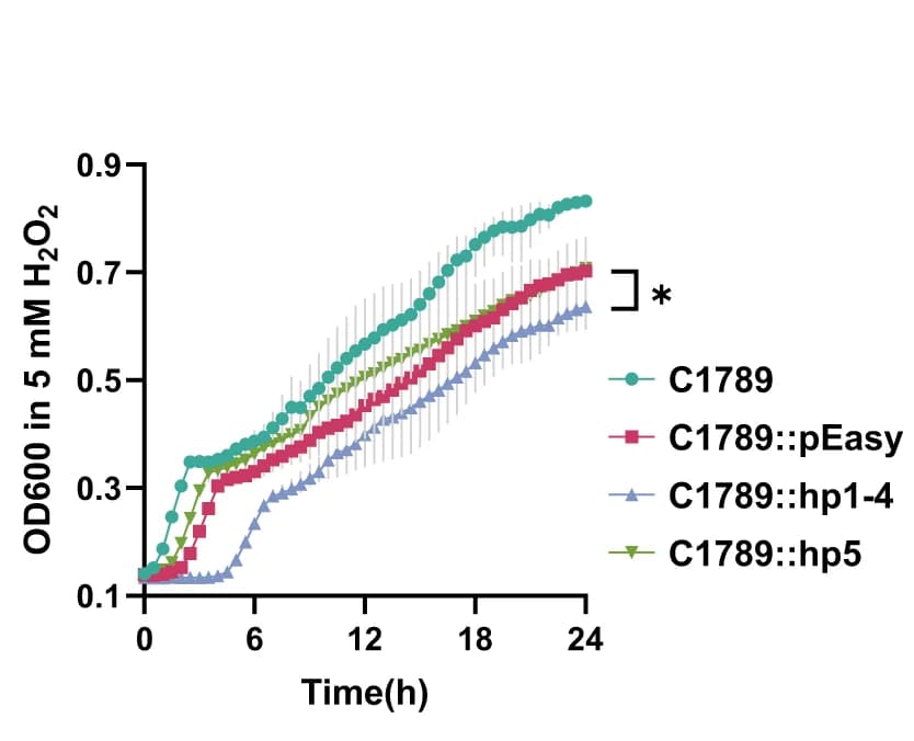 Open access visualization of Line Plot, Error Bars, Growth Curves, Bacterial Strains, Hydrogen Peroxide