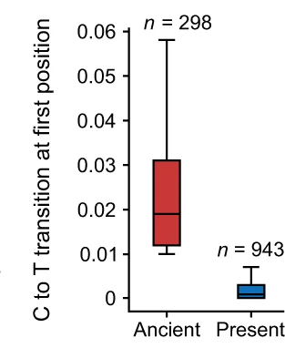 Open access visualization of Box Plot, Substitution Frequencies, Sequencing Reads, Ancient Phage, Present-Day Phage