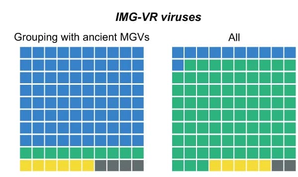 Open access visualization of Stacked Bar Plot, Waffle Charts, Contemporary Viruses, Ecosystems, aMGV