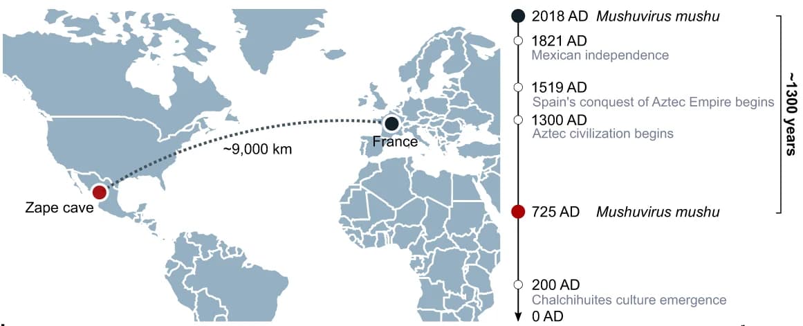 Open access visualization of Geo Map, Line Plot, Line Step, Genomes, Geographic Distance