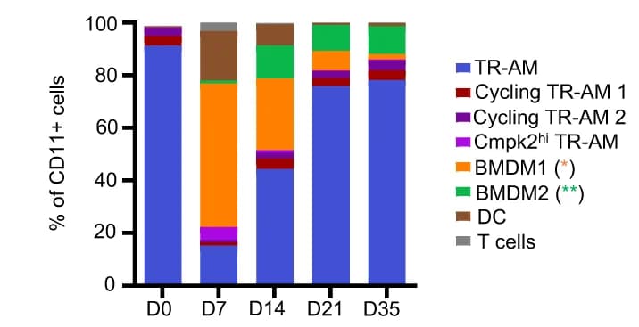 Open access visualization of Stacked Bar Plot, Stacked Bar Chart, CD11c+ Cells, Infection