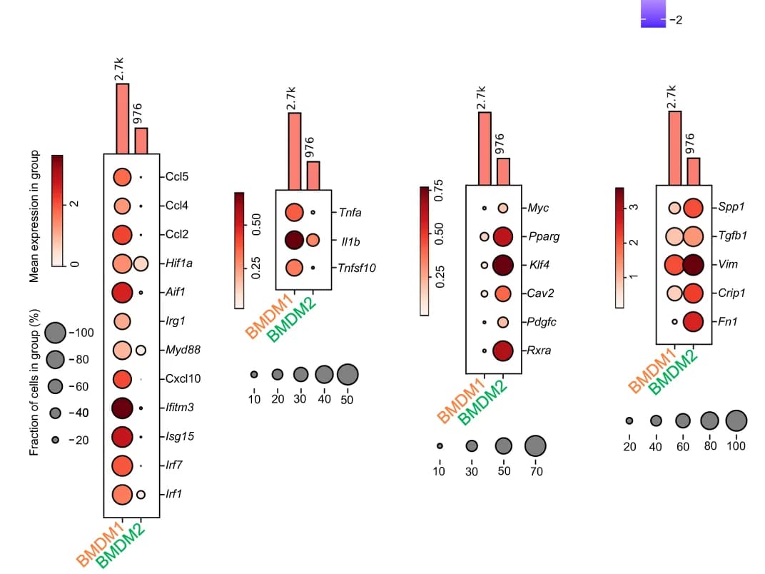 Open access visualization of Bar Plot, Scatter Plot, Dot Plots, Phenotype Markers, BMDM1