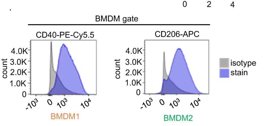 Open access visualization of Density Plot, CD40, CD206, BMDM1, BMDM2