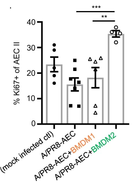 Open access visualization of Bar Plot, Error Bars, Bar Graphs, Proliferating Cells, Ki67