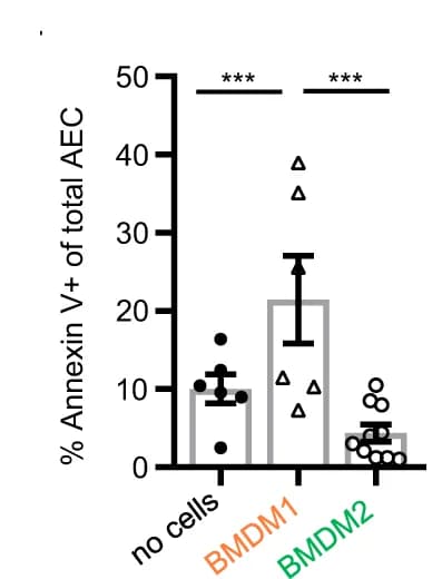 Open access visualization of Bar Plot, Error Bars, Scatter Plot, Apoptotic AEC, CD31