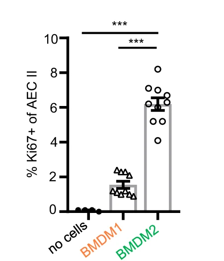 Open access visualization of Bar Plot, Error Bars, Scatter Plot, Proliferating AEC II, CD31