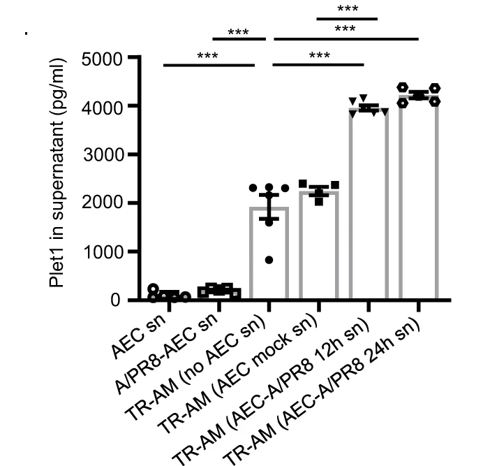 Open access visualization of Bar Plot, Error Bars, Plet1 Concentration, Supernatant, Non-infected AEC