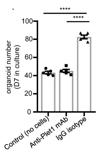 Open access visualization of Bar Plot, Scatter Plot, Error Bars, BALO, Organoids