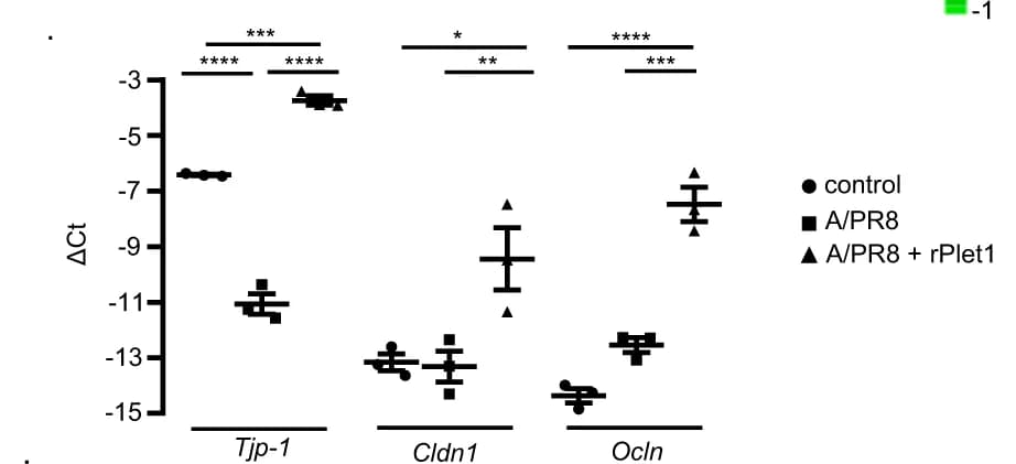 Open access visualization of Scatter Plot, Error Bars, Tight Junction, Gene Expression, qPCR