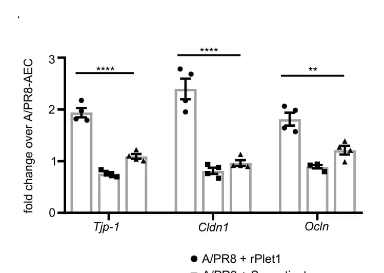 Open access visualization of Bar Plot, Error Bars, Tight Junction, Gene Expression, qPCR