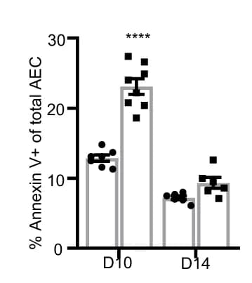 Open access visualization of Bar Plot, Scatter Plot, Error Bars, Annexin V + AECs, Plet1 flx/flx Mice