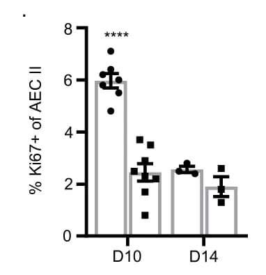 Open access visualization of Bar Plot, Error Bars, Ki67 + AECs, Plet1 flx/flx Mice, Cx3cr1 iCre -Plet1 flx/flx Mice