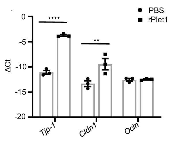 Open access visualization of Bar Plot, Error Bars, mRNA Expression, qPCR, Tight Junction Genes
