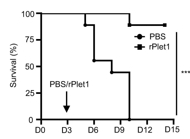 Open access visualization of Survival Curve, Line Step, Survival, IAV Infection, Mice