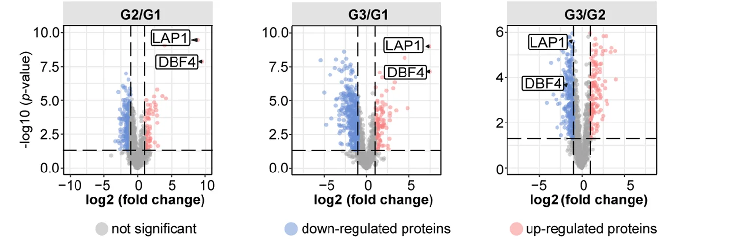 Open access visualization of Scatter Plot, Volcano Plot, Proteins, Up-regulated, Down-regulated