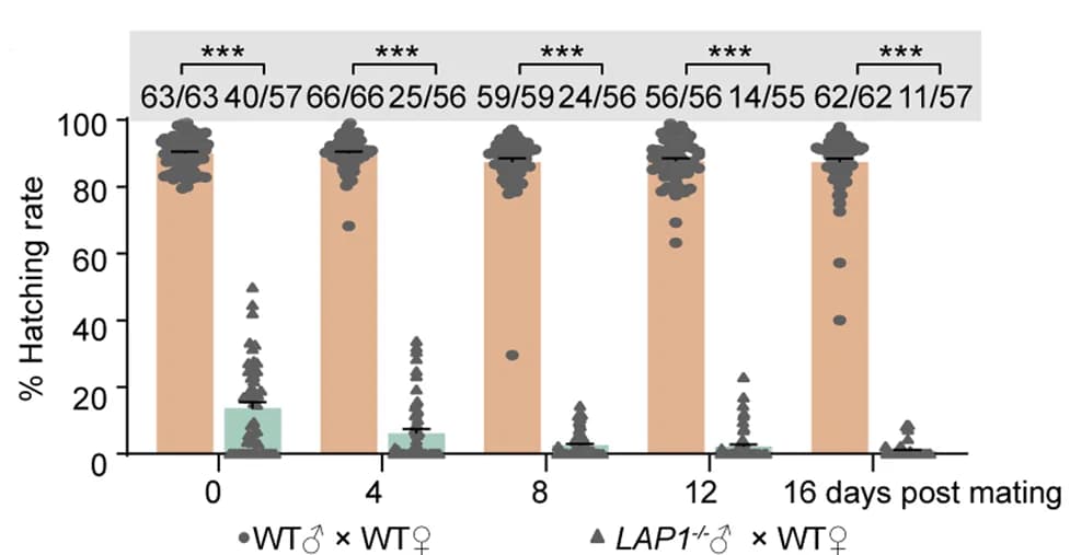 Open access visualization of Bar Plot, Scatter Plot, Error Bars, Female Fertility, Blood Feeding
