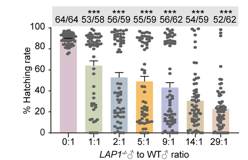Open access visualization of Bar Plot, Error Bars, Scatter Plot, Fertility, Wild-Type Females