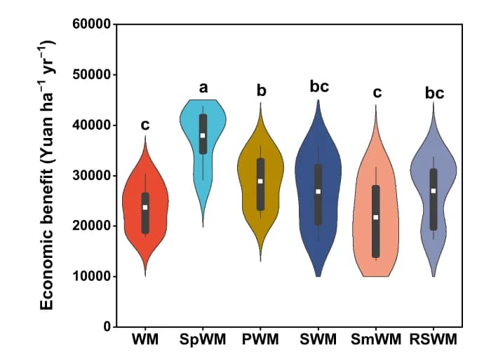 Open access visualization of Violin Plot, Economic Benefit, Net Income, Rotation System, Violin Plots