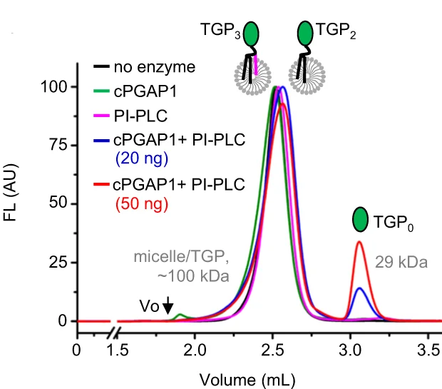 Open access visualization of Line Plot, FSEC, TGP, cPGAP1, PI-PLC